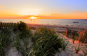 Cape Cod Beaches | Best Beaches in Cape Cod